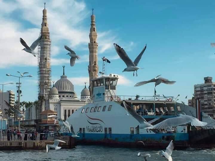 صورة فرع بورسعيد